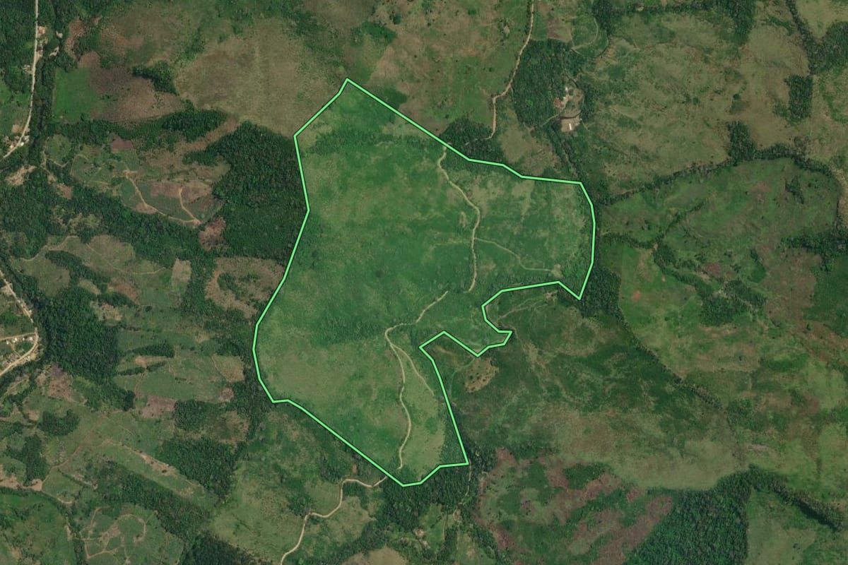Imagem de satélite do imóvel rural em Adrianópolis (PR), com o contorno declarado no CAR desenhado por cima.