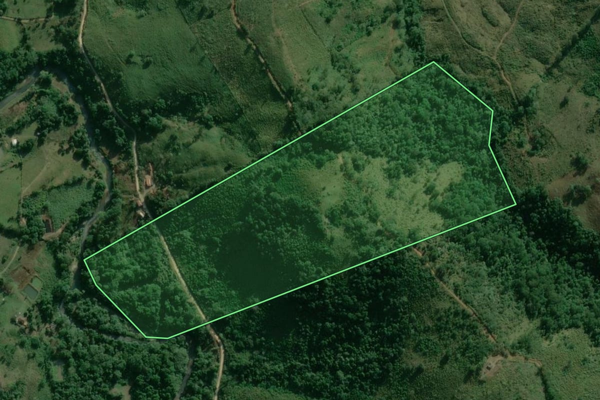 Imagem de satélite do imóvel rural em Adrianópolis (PR), com o contorno declarado no CAR desenhado por cima.