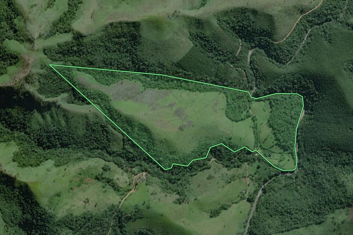 Imagem de satélite do imóvel rural em Adrianópolis (PR), com o contorno declarado no CAR desenhado por cima.