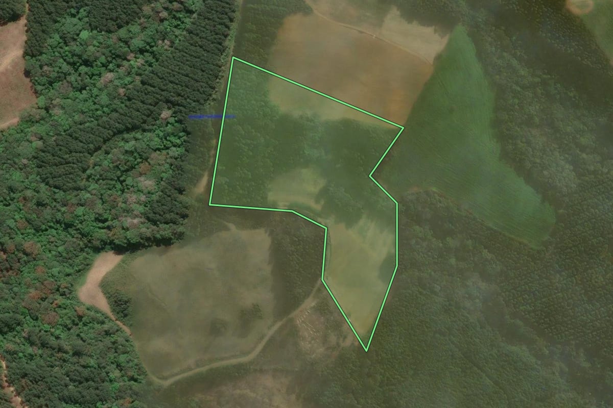 Imagem de satélite do imóvel rural em Agudos do Sul (PR), com o contorno declarado no CAR desenhado por cima.