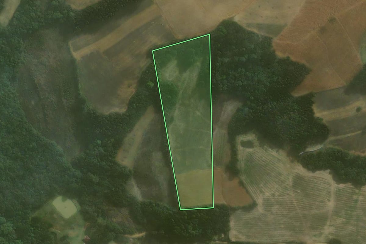 Imagem de satélite do imóvel rural em Agudos do Sul (PR), com o contorno declarado no CAR desenhado por cima.