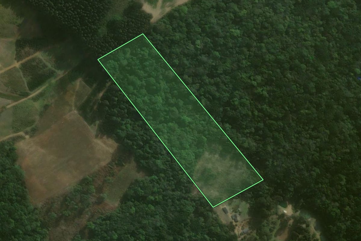 Imagem de satélite do imóvel rural em Agudos do Sul (PR), com o contorno declarado no CAR desenhado por cima.
