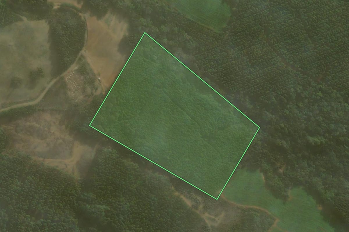 Imagem de satélite do imóvel rural em Agudos do Sul (PR), com o contorno declarado no CAR desenhado por cima.
