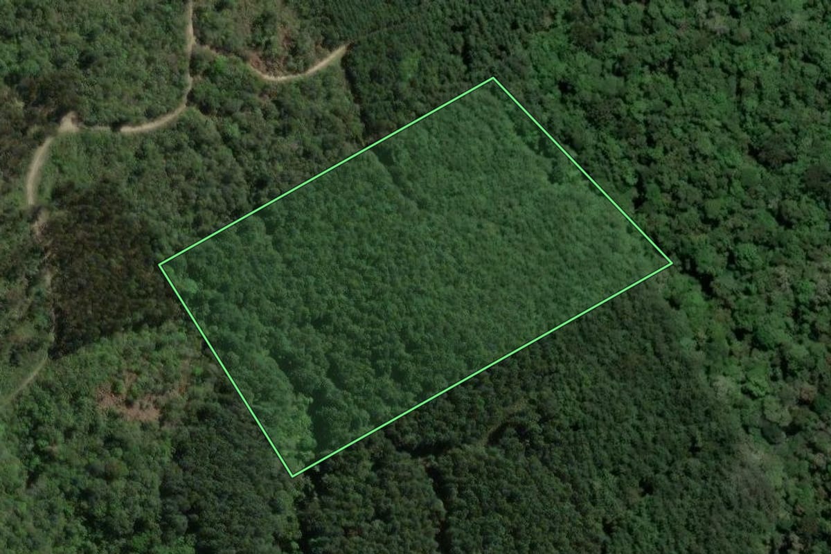 Imagem de satélite do imóvel rural em Agudos do Sul (PR), com o contorno declarado no CAR desenhado por cima.