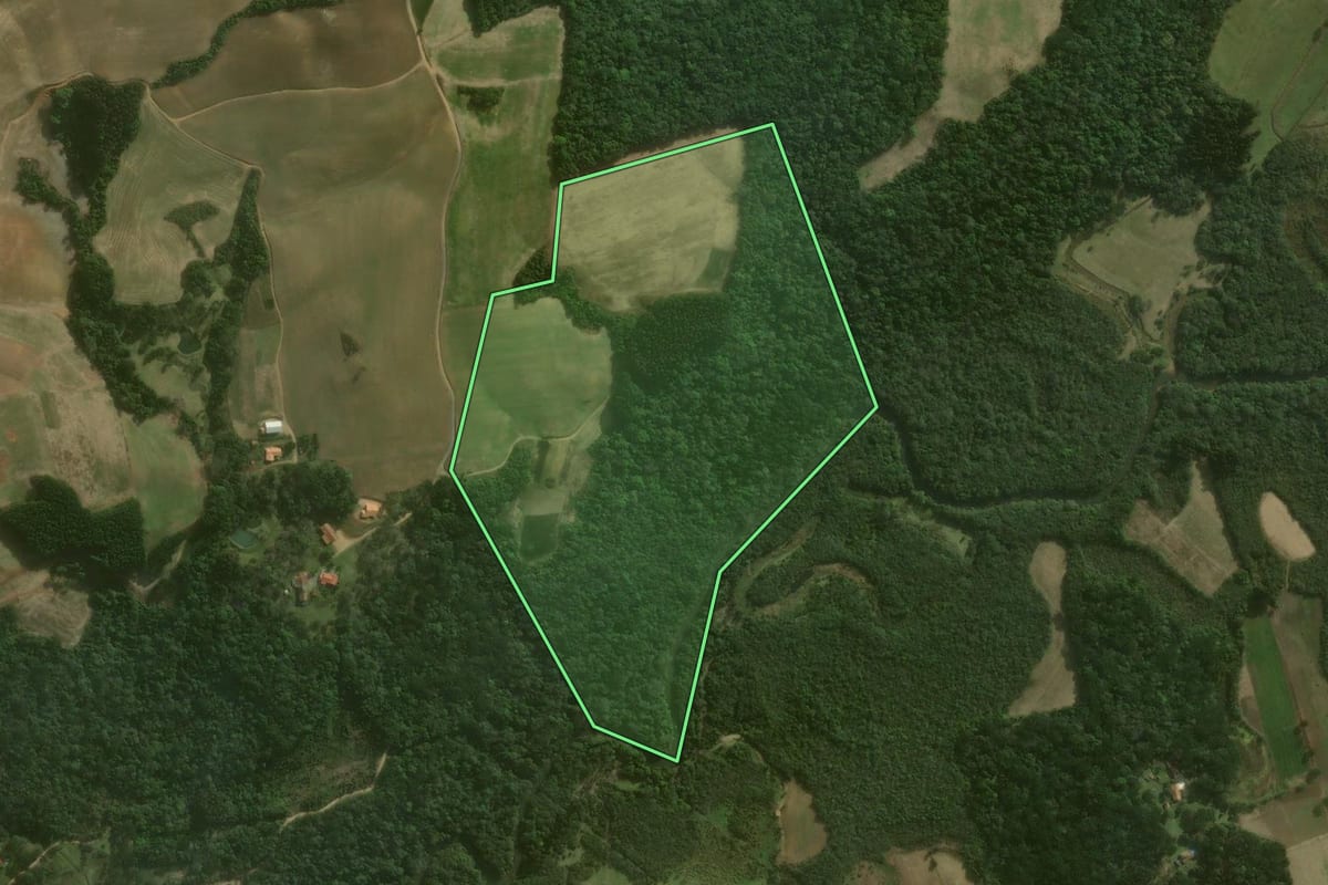 Imagem de satélite do imóvel rural em Agudos do Sul (PR), com o contorno declarado no CAR desenhado por cima.