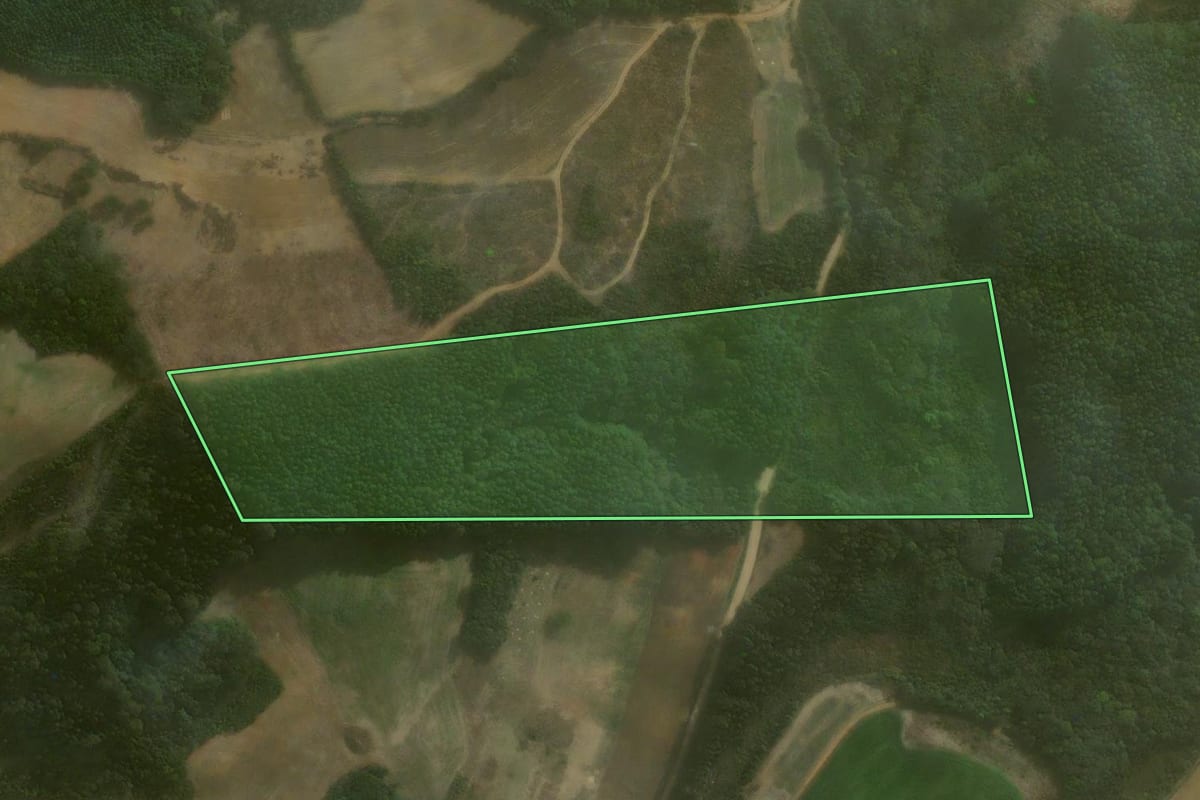 Imagem de satélite do imóvel rural em Agudos do Sul (PR), com o contorno declarado no CAR desenhado por cima.