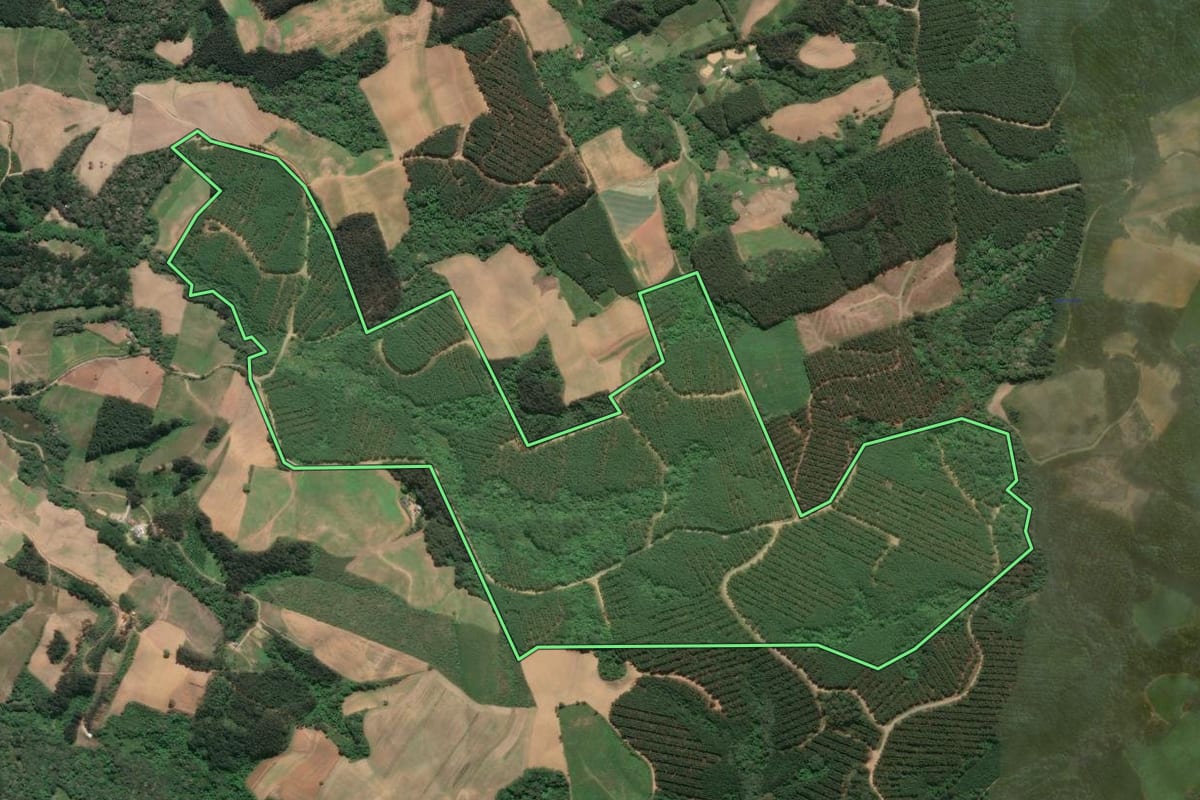 Imagem de satélite do imóvel rural em Agudos do Sul (PR), com o contorno declarado no CAR desenhado por cima.
