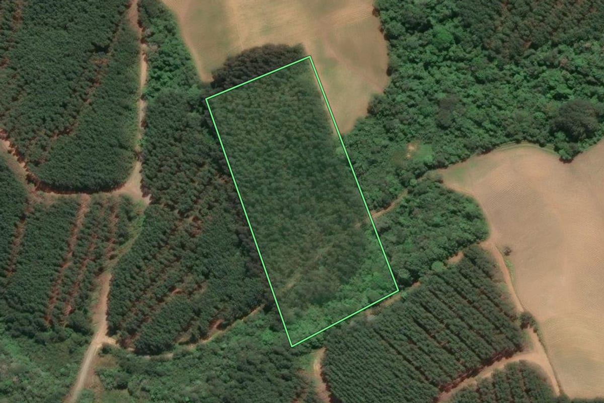 Imagem de satélite do imóvel rural em Agudos do Sul (PR), com o contorno declarado no CAR desenhado por cima.