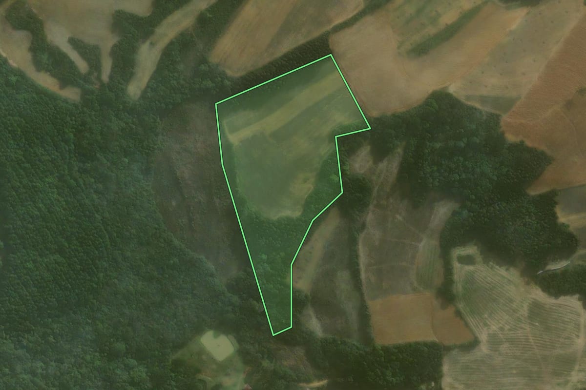 Imagem de satélite do imóvel rural em Agudos do Sul (PR), com o contorno declarado no CAR desenhado por cima.