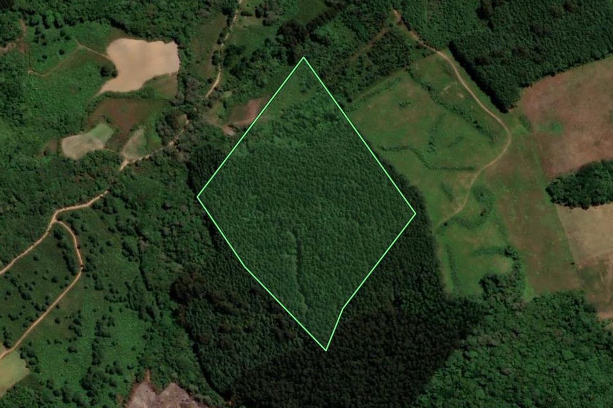 Imagem de satélite do imóvel rural em Agudos do Sul (PR), com o contorno declarado no CAR desenhado por cima.