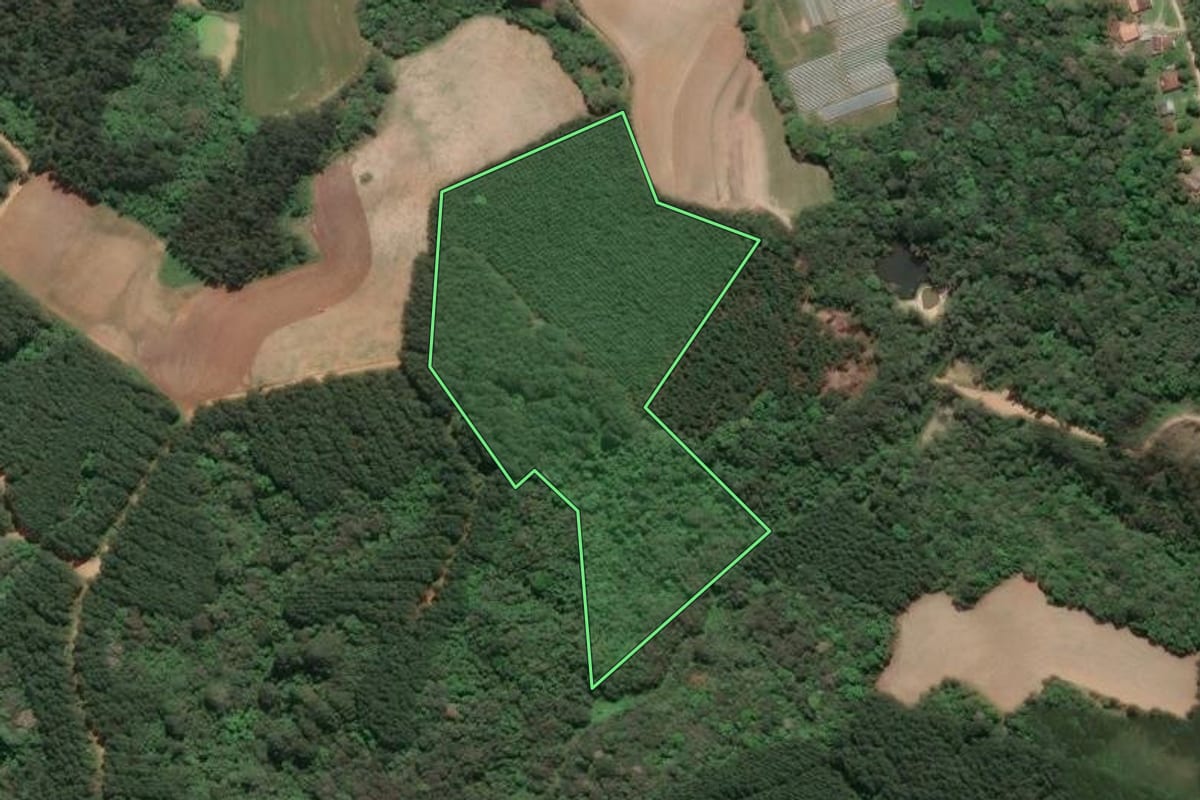 Imagem de satélite do imóvel rural em Agudos do Sul (PR), com o contorno declarado no CAR desenhado por cima.