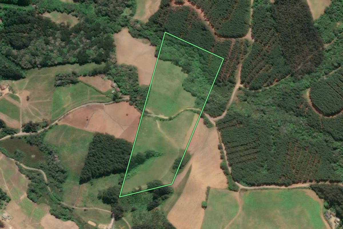 Imagem de satélite do imóvel rural em Agudos do Sul (PR), com o contorno declarado no CAR desenhado por cima.
