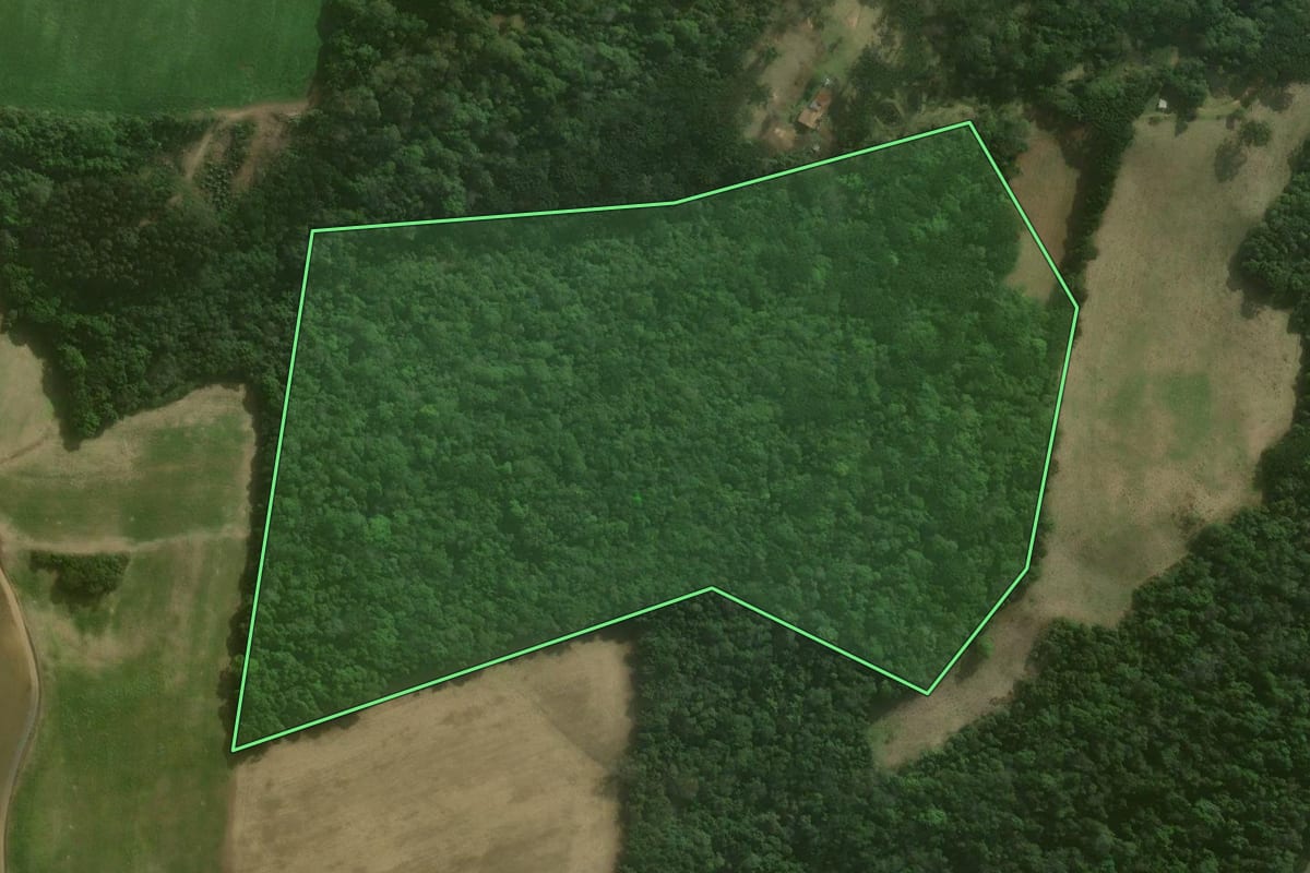 Imagem de satélite do imóvel rural em Agudos do Sul (PR), com o contorno declarado no CAR desenhado por cima.