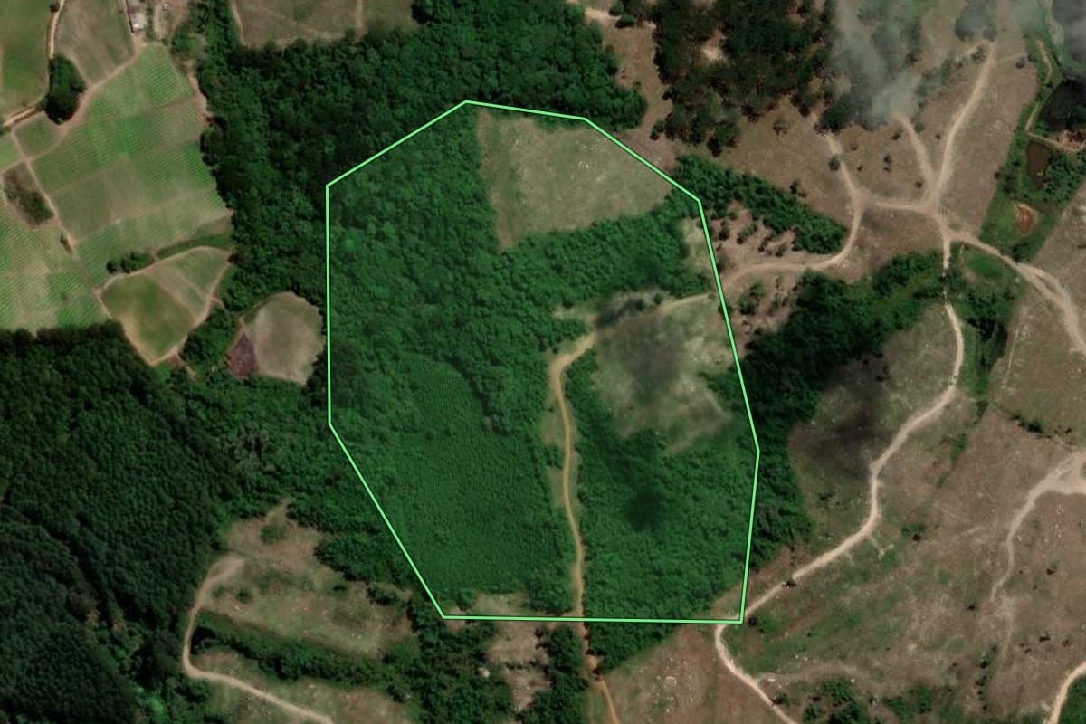 Imagem de satélite do imóvel rural em Agudos do Sul (PR), com o contorno declarado no CAR desenhado por cima.