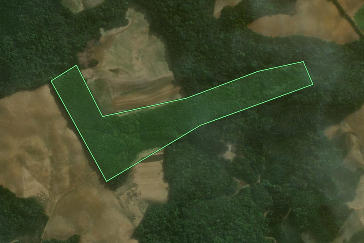Imagem de satélite do imóvel rural em Agudos do Sul (PR), com o contorno declarado no CAR desenhado por cima.