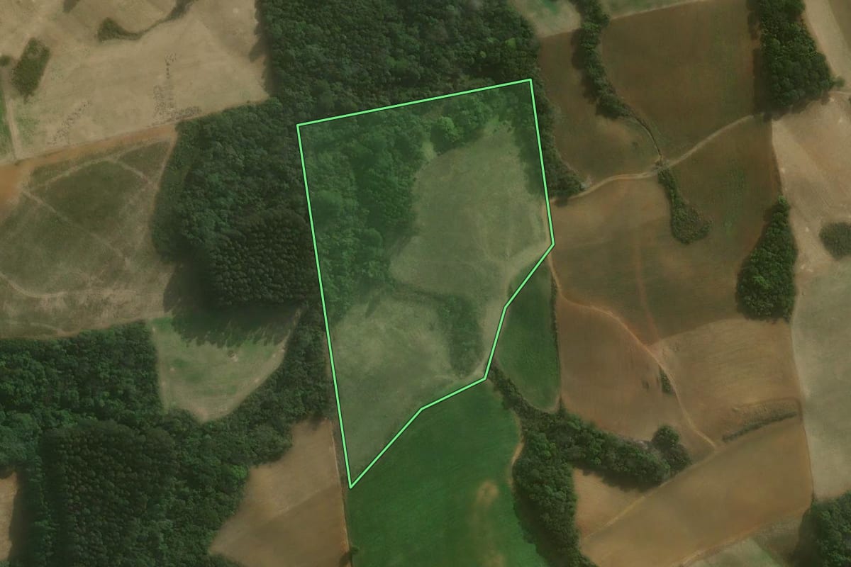 Imagem de satélite do imóvel rural em Agudos do Sul (PR), com o contorno declarado no CAR desenhado por cima.