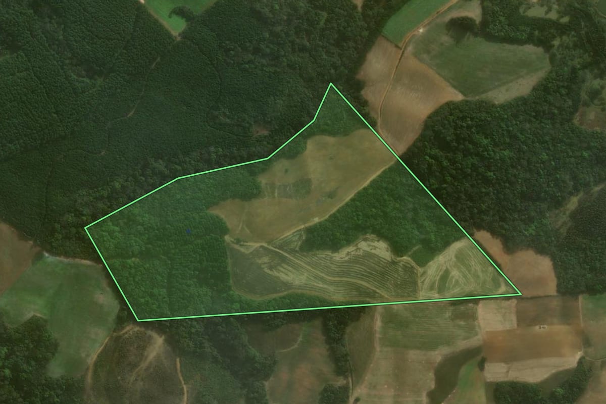 Imagem de satélite do imóvel rural em Agudos do Sul (PR), com o contorno declarado no CAR desenhado por cima.