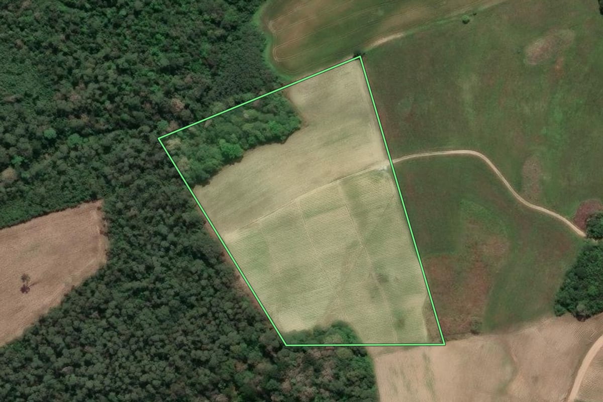 Imagem de satélite do imóvel rural em Agudos do Sul (PR), com o contorno declarado no CAR desenhado por cima.