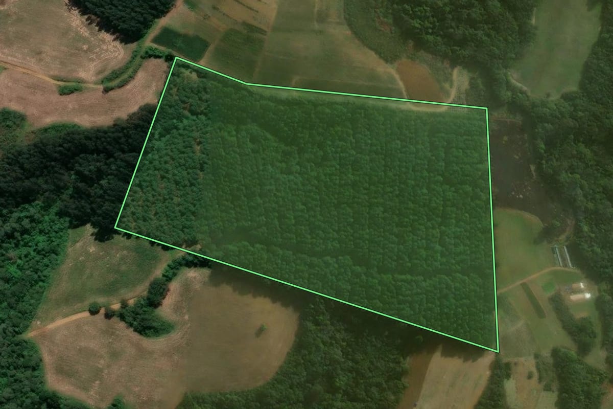 Imagem de satélite do imóvel rural em Agudos do Sul (PR), com o contorno declarado no CAR desenhado por cima.