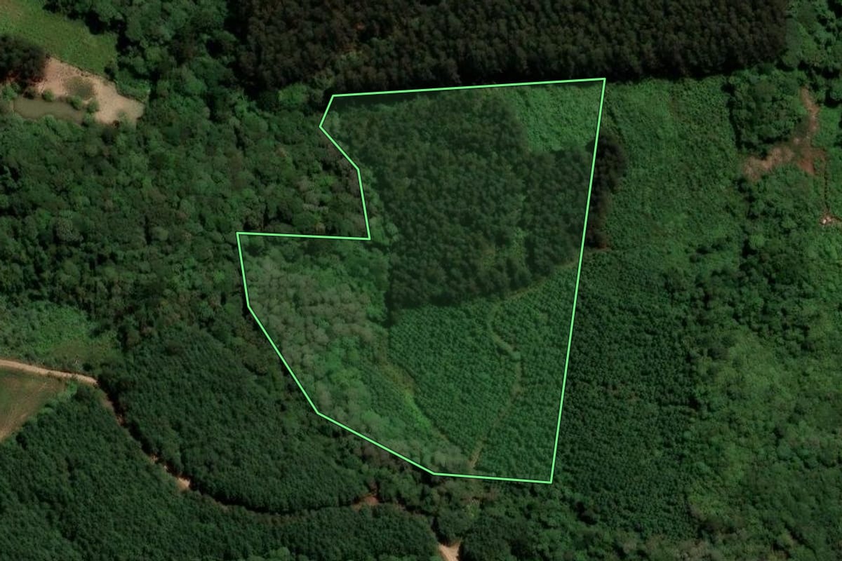 Imagem de satélite do imóvel rural em Agudos do Sul (PR), com o contorno declarado no CAR desenhado por cima.