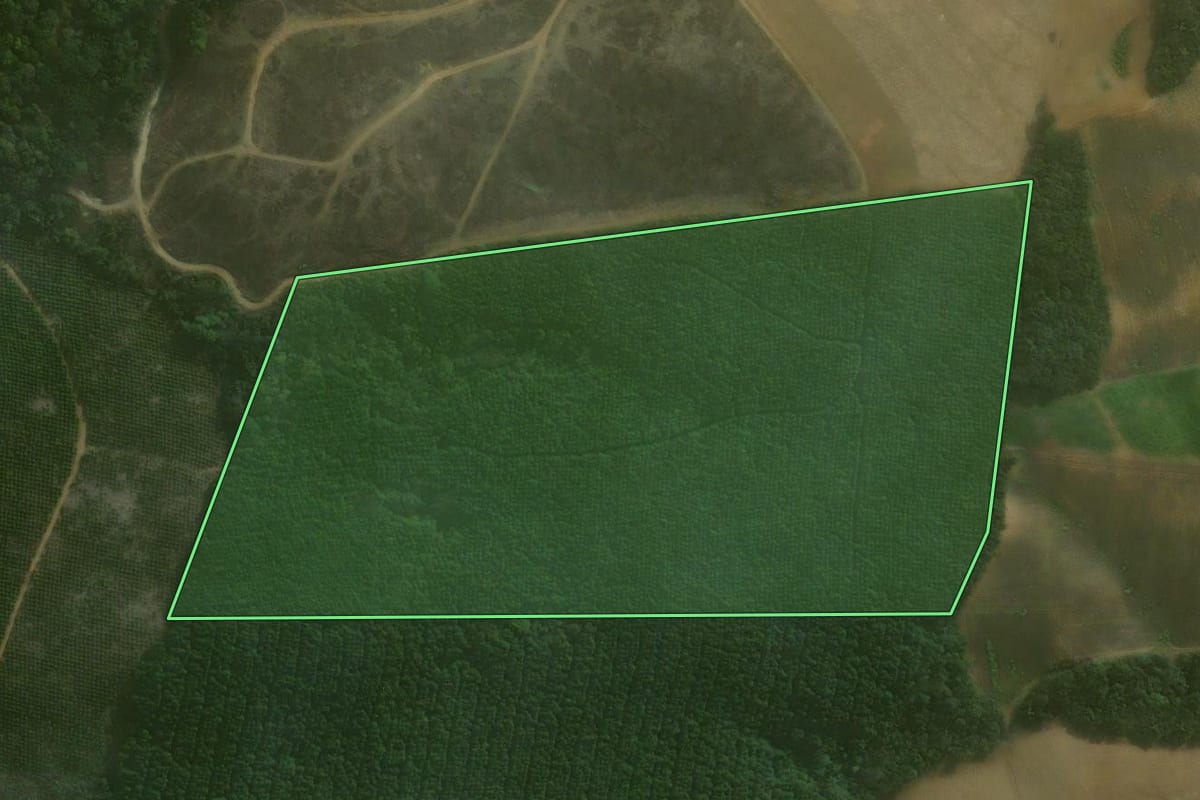 Imagem de satélite do imóvel rural em Agudos do Sul (PR), com o contorno declarado no CAR desenhado por cima.