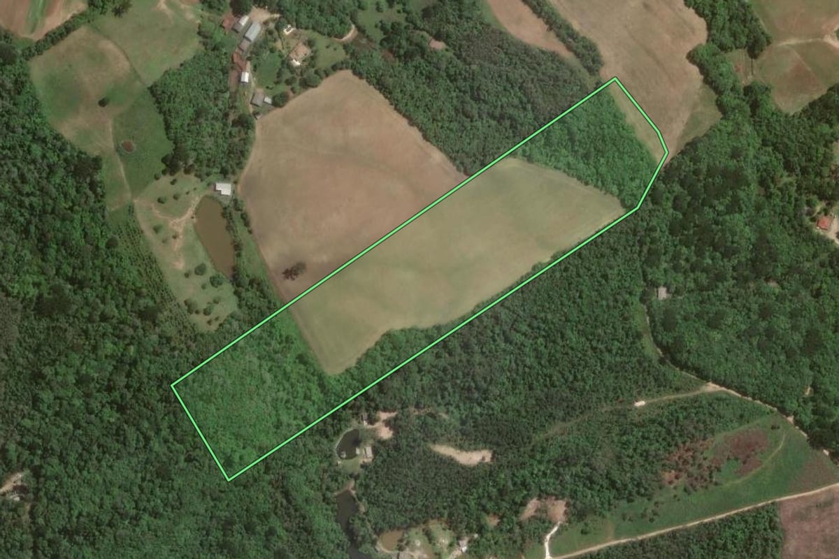 Imagem de satélite do imóvel rural em Almirante Tamandaré (PR), com o contorno declarado no CAR desenhado por cima.