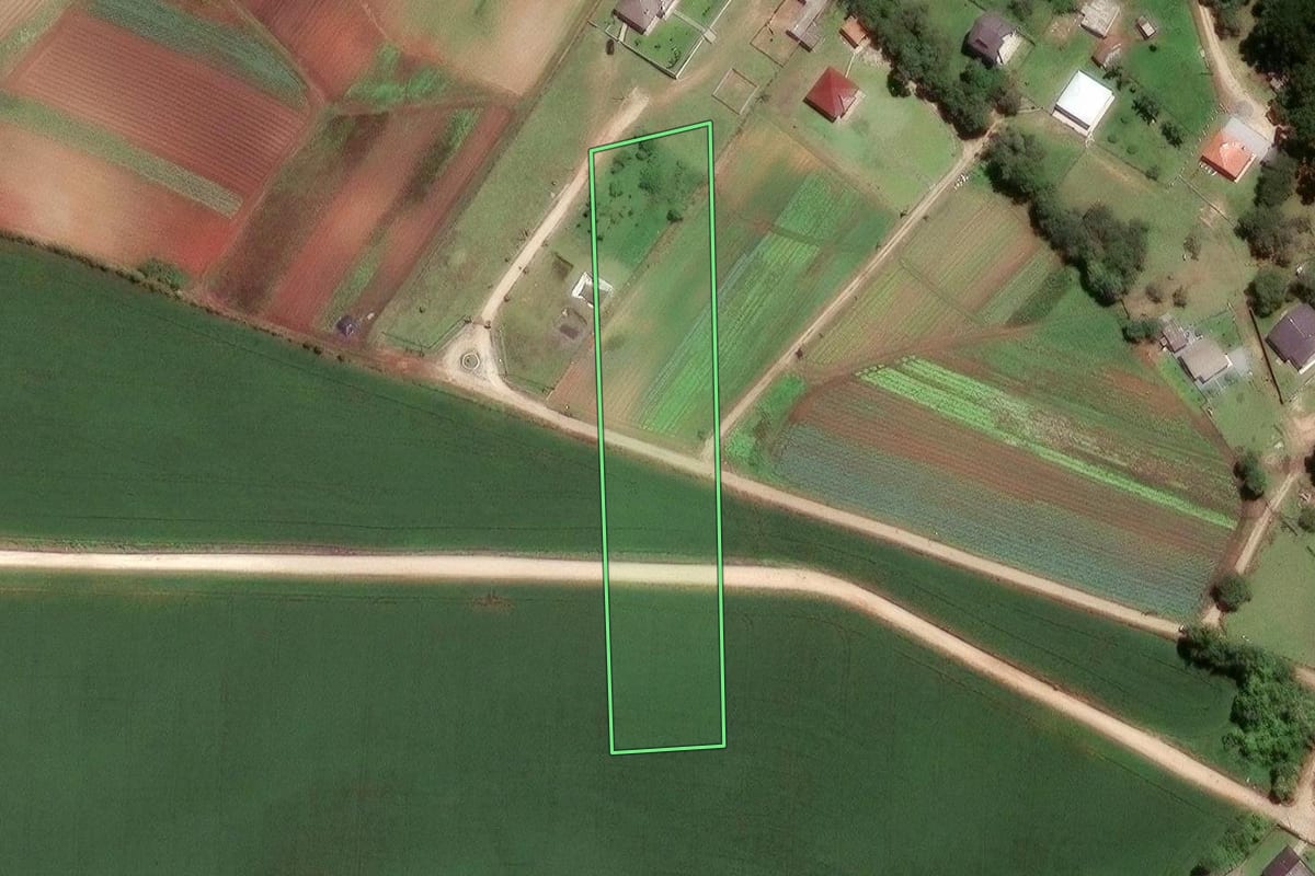 Imagem de satélite do imóvel rural em Almirante Tamandaré (PR), com o contorno declarado no CAR desenhado por cima.