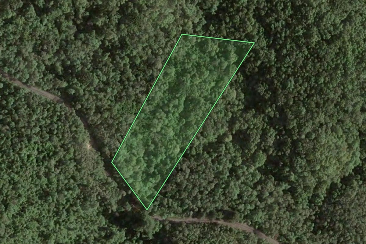 Imagem de satélite do imóvel rural em Almirante Tamandaré (PR), com o contorno declarado no CAR desenhado por cima.