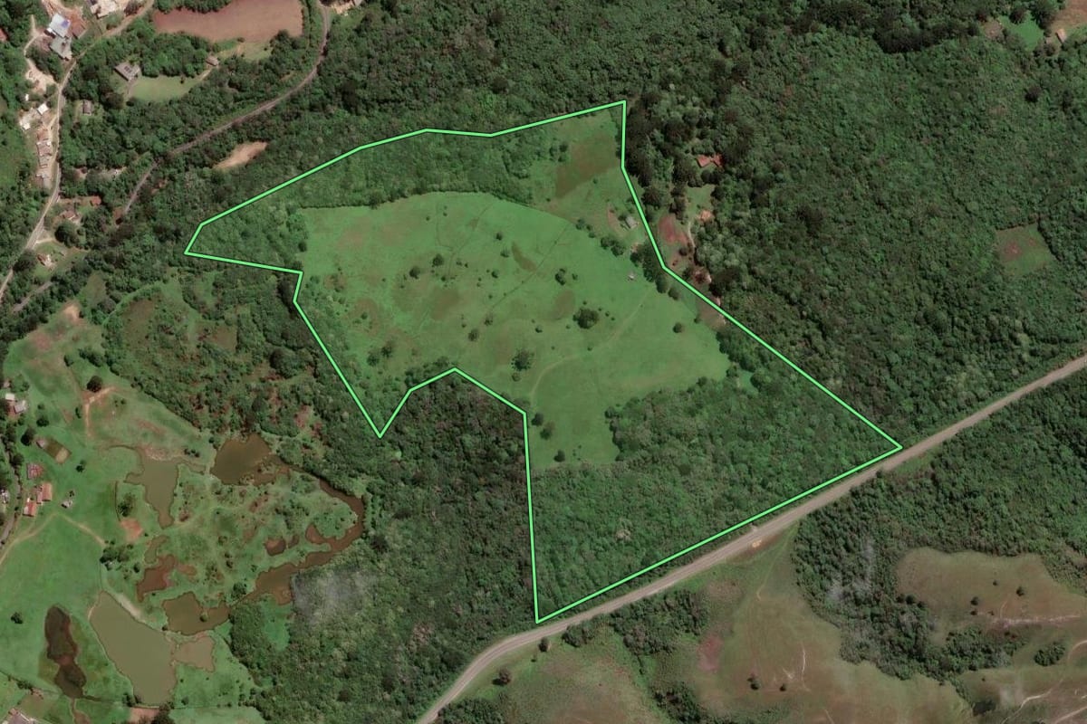 Imagem de satélite do imóvel rural em Almirante Tamandaré (PR), com o contorno declarado no CAR desenhado por cima.