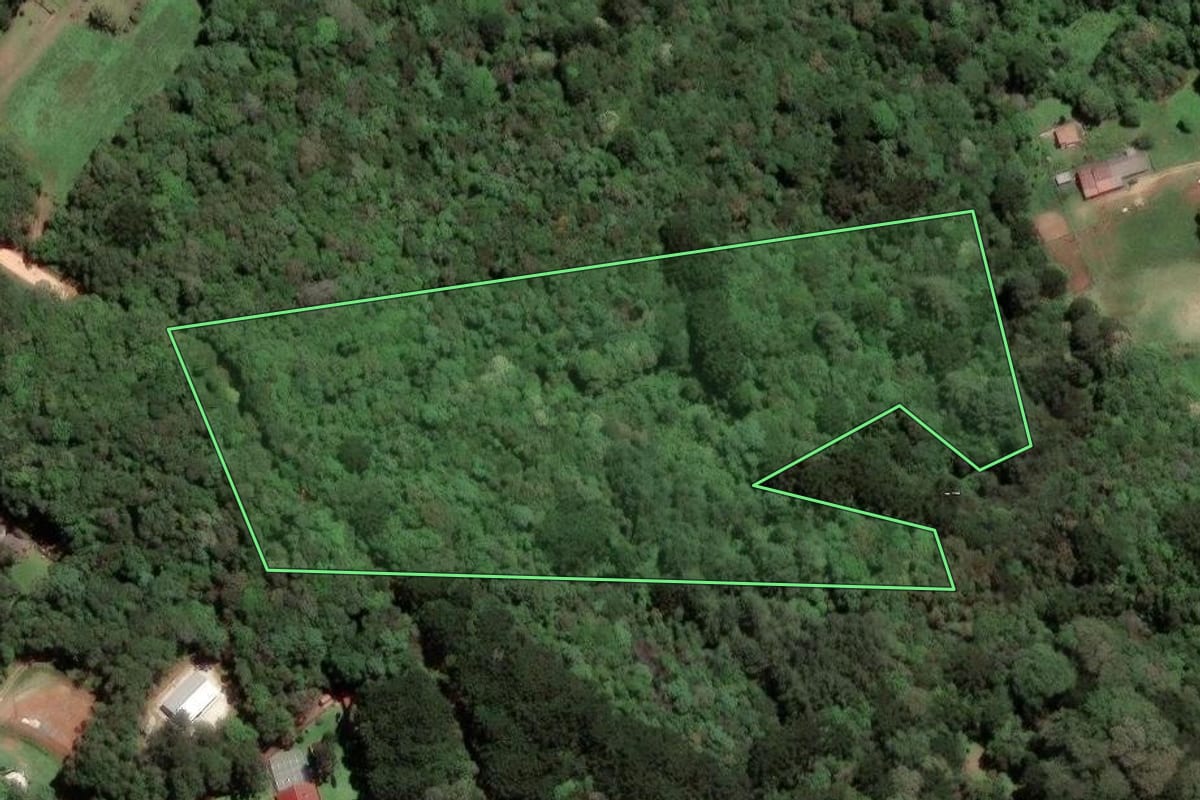 Imagem de satélite do imóvel rural em Almirante Tamandaré (PR), com o contorno declarado no CAR desenhado por cima.