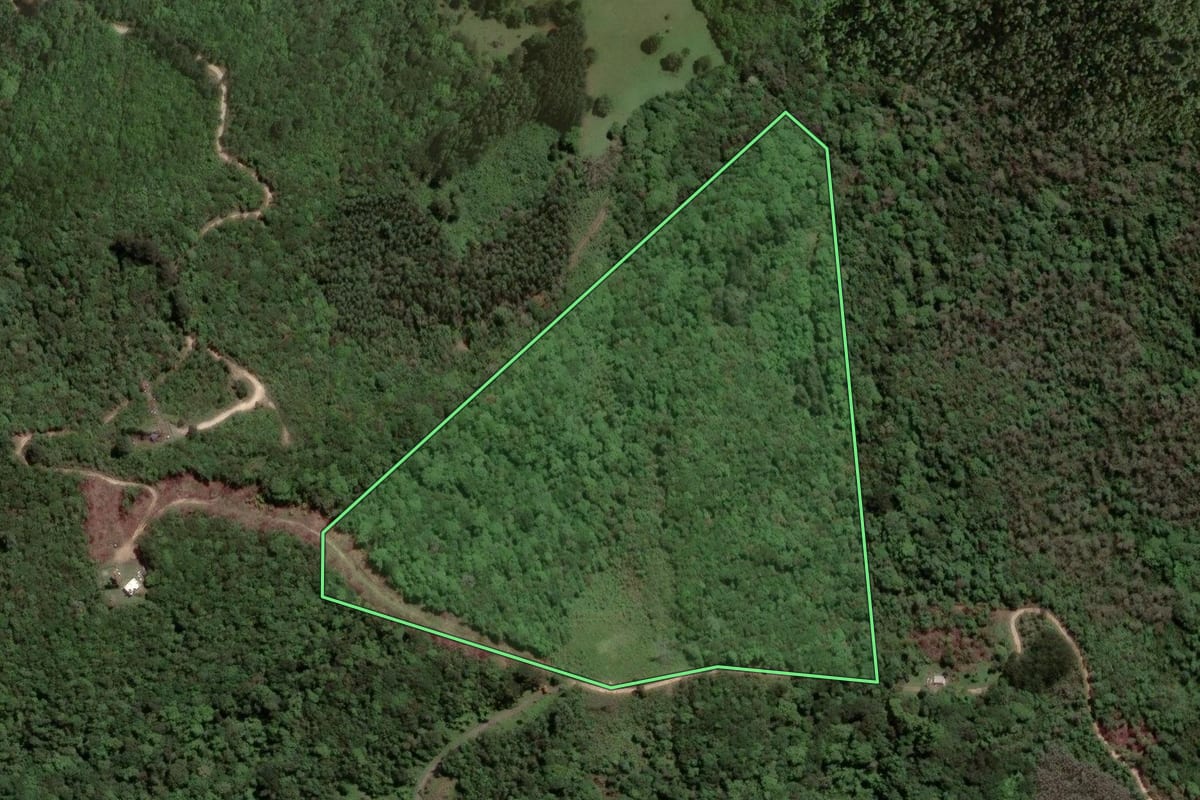 Imagem de satélite do imóvel rural em Almirante Tamandaré (PR), com o contorno declarado no CAR desenhado por cima.