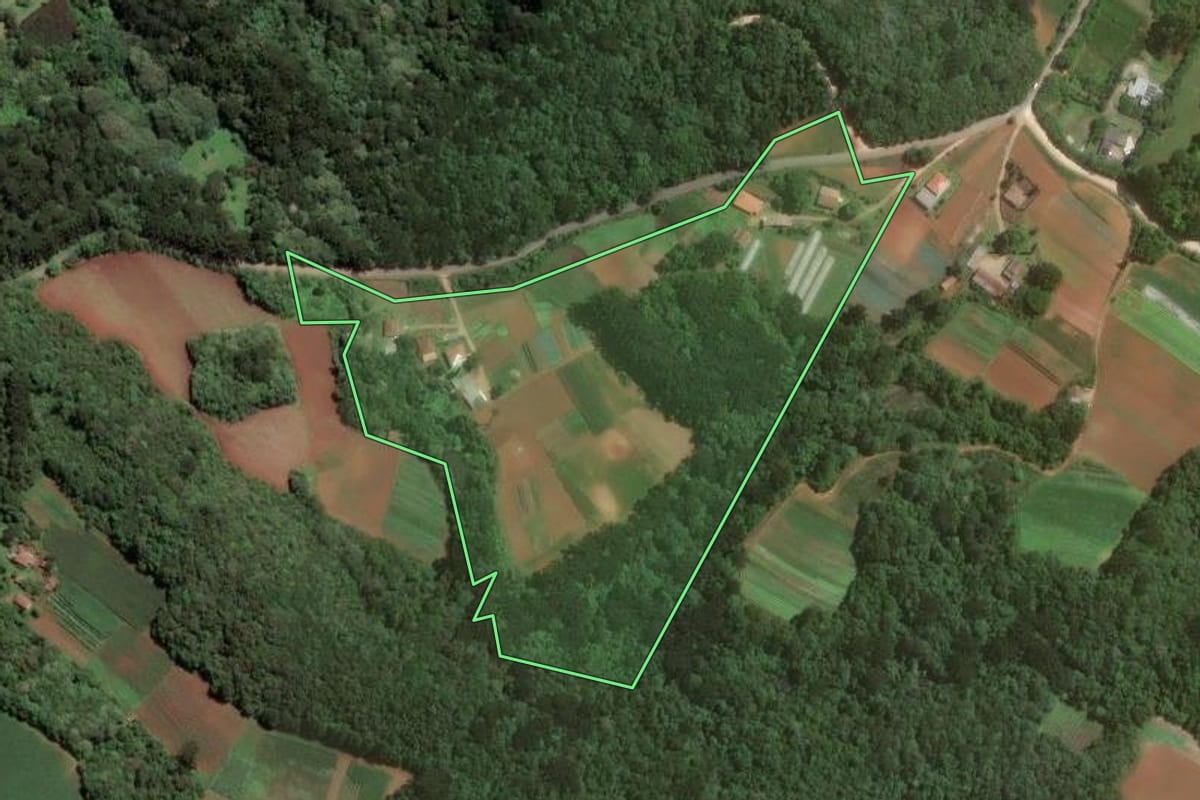 Imagem de satélite do imóvel rural em Almirante Tamandaré (PR), com o contorno declarado no CAR desenhado por cima.