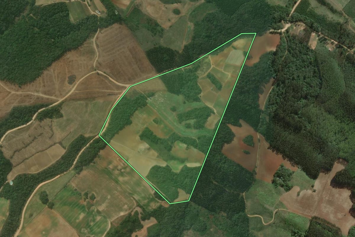 Imagem de satélite do imóvel rural em Almirante Tamandaré (PR), com o contorno declarado no CAR desenhado por cima.