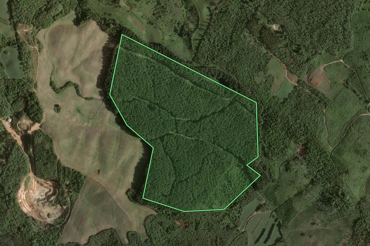 Imagem de satélite do imóvel rural em Almirante Tamandaré (PR), com o contorno declarado no CAR desenhado por cima.