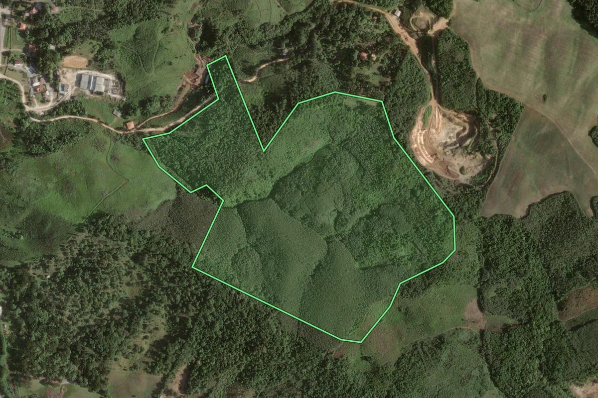 Imagem de satélite do imóvel rural em Almirante Tamandaré (PR), com o contorno declarado no CAR desenhado por cima.