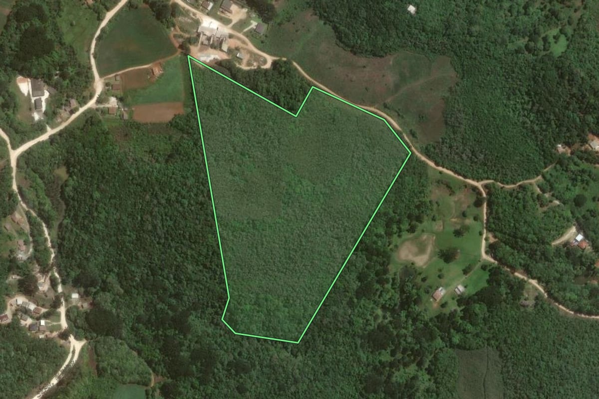 Imagem de satélite do imóvel rural em Almirante Tamandaré (PR), com o contorno declarado no CAR desenhado por cima.