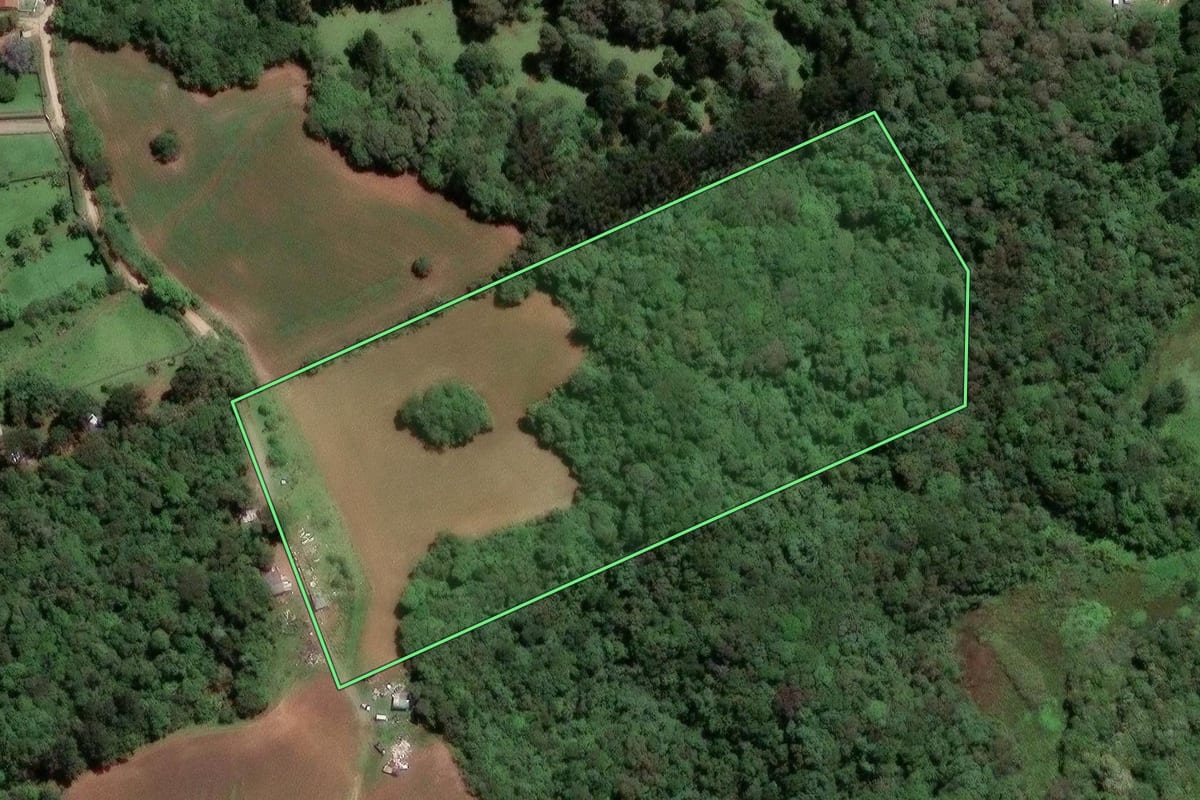 Imagem de satélite do imóvel rural em Almirante Tamandaré (PR), com o contorno declarado no CAR desenhado por cima.