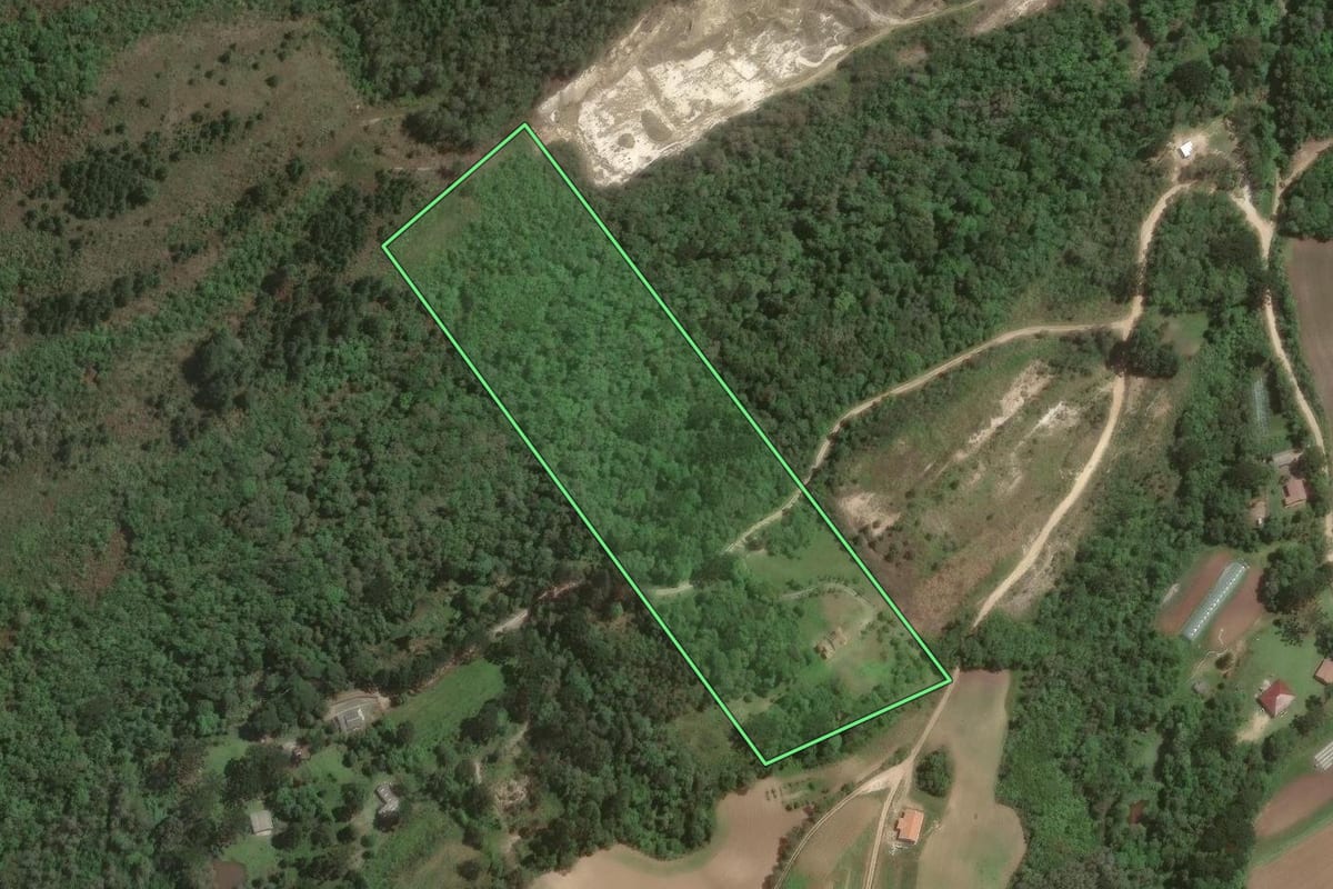 Imagem de satélite do imóvel rural em Almirante Tamandaré (PR), com o contorno declarado no CAR desenhado por cima.