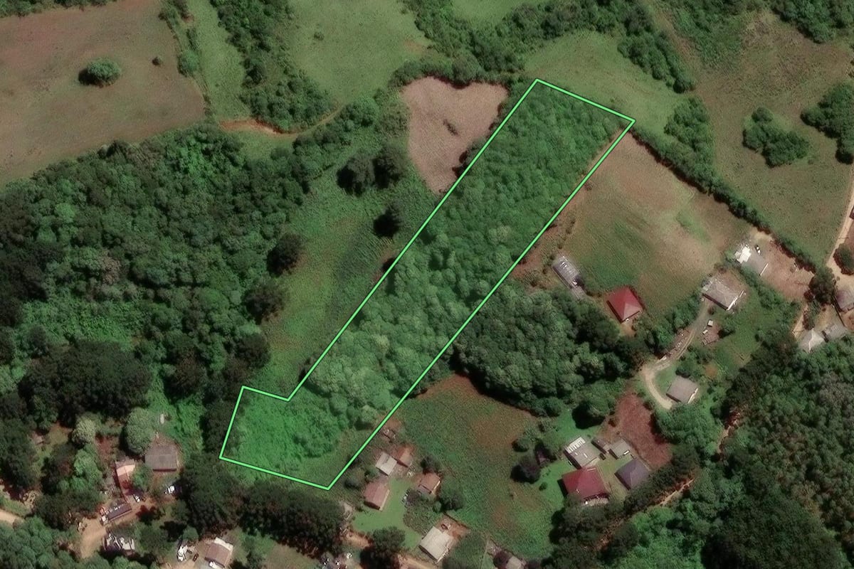 Imagem de satélite do imóvel rural em Almirante Tamandaré (PR), com o contorno declarado no CAR desenhado por cima.
