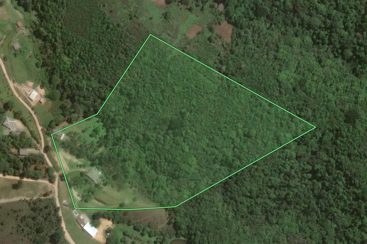 Imagem de satélite do imóvel rural em Almirante Tamandaré (PR), com o contorno declarado no CAR desenhado por cima.