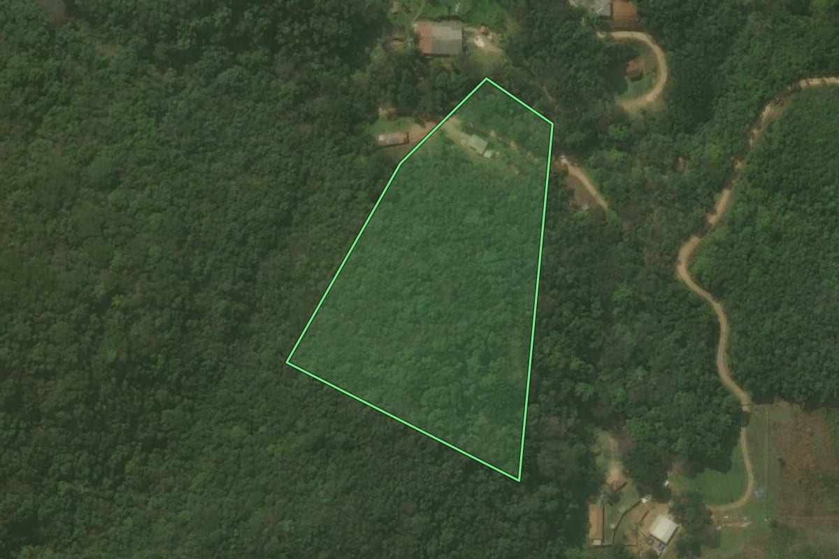 Imagem de satélite do imóvel rural em Almirante Tamandaré (PR), com o contorno declarado no CAR desenhado por cima.