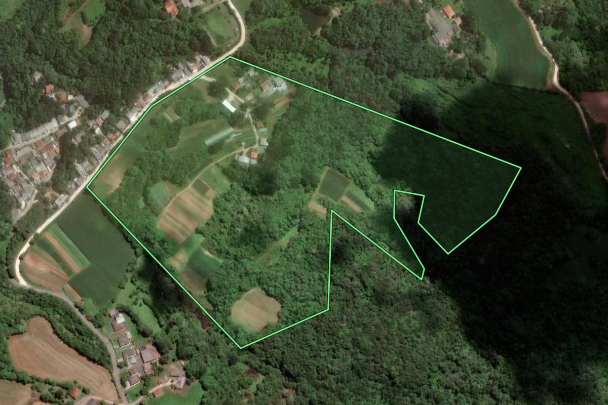 Imagem de satélite do imóvel rural em Almirante Tamandaré (PR), com o contorno declarado no CAR desenhado por cima.