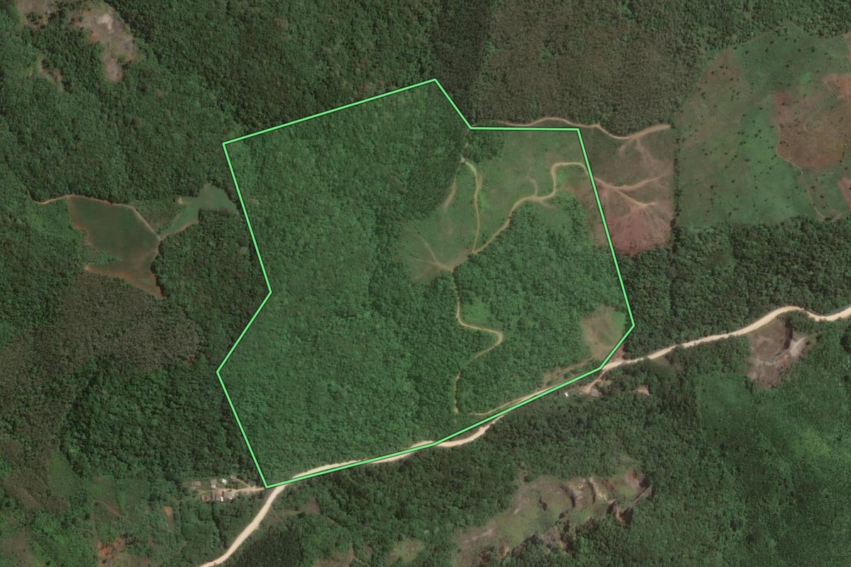 Imagem de satélite do imóvel rural em Almirante Tamandaré (PR), com o contorno declarado no CAR desenhado por cima.