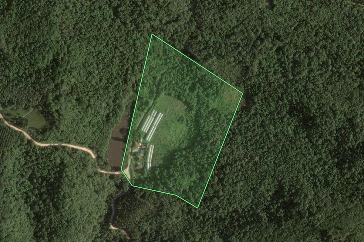 Imagem de satélite do imóvel rural em Almirante Tamandaré (PR), com o contorno declarado no CAR desenhado por cima.