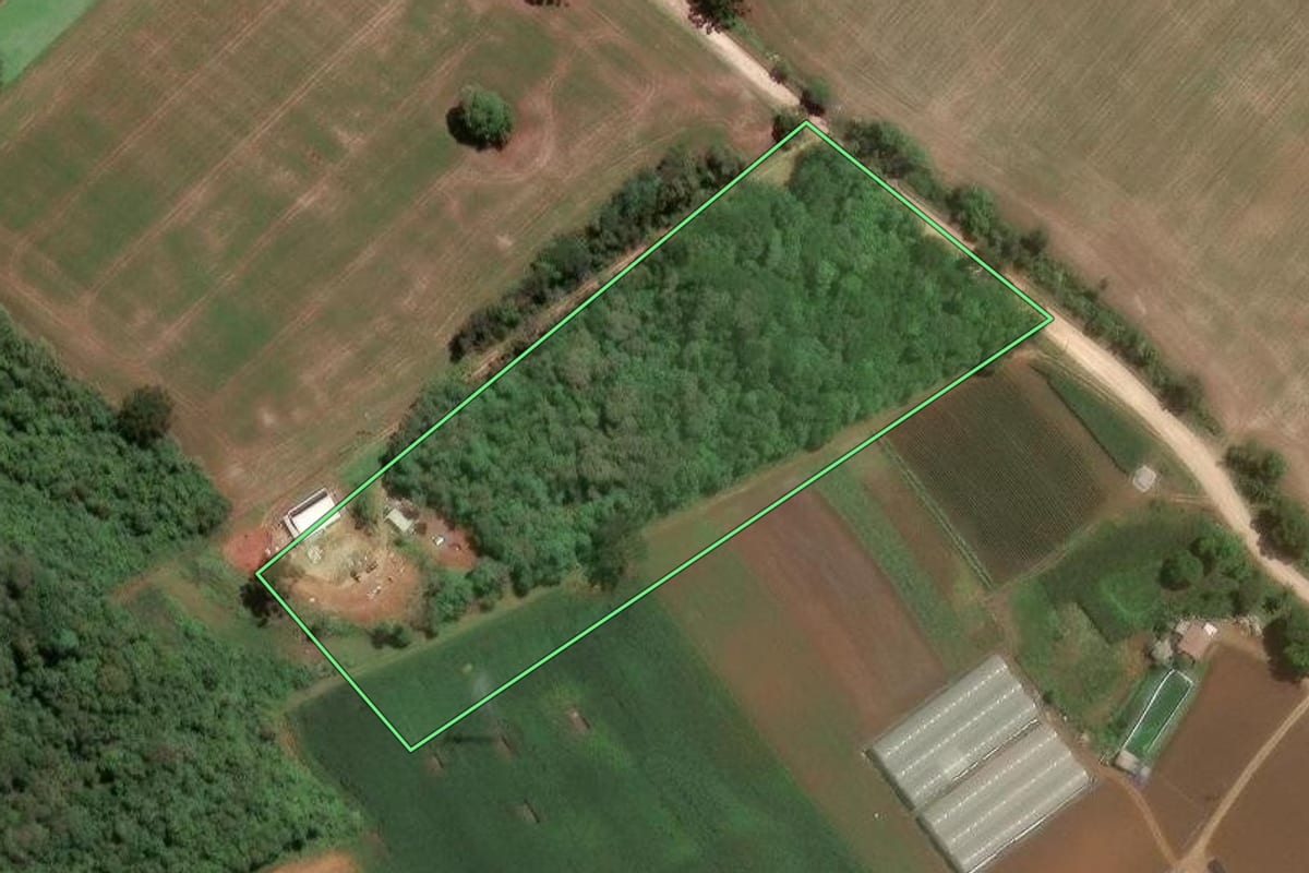 Imagem de satélite do imóvel rural em Almirante Tamandaré (PR), com o contorno declarado no CAR desenhado por cima.