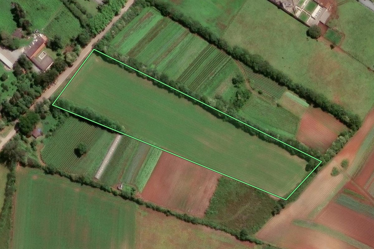 Imagem de satélite do imóvel rural em Almirante Tamandaré (PR), com o contorno declarado no CAR desenhado por cima.