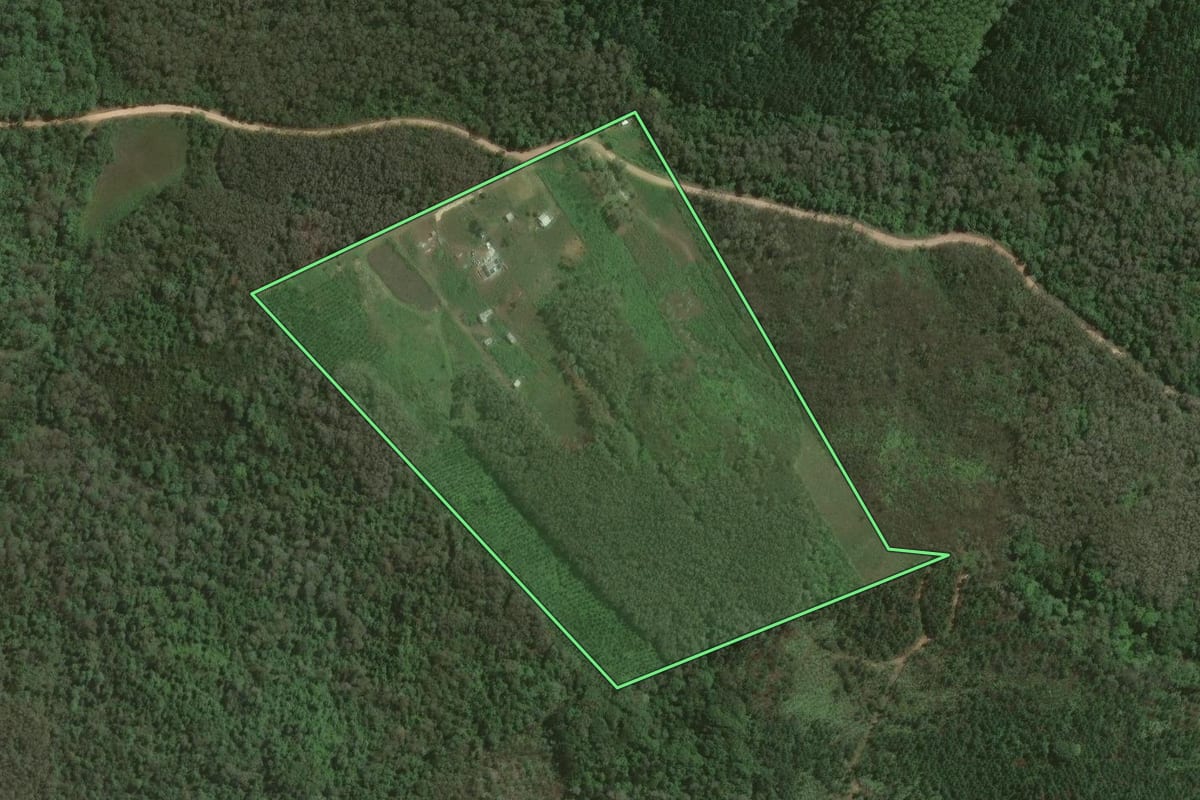 Imagem de satélite do imóvel rural em Almirante Tamandaré (PR), com o contorno declarado no CAR desenhado por cima.