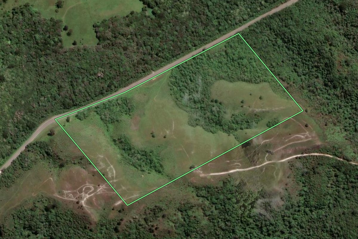 Imagem de satélite do imóvel rural em Almirante Tamandaré (PR), com o contorno declarado no CAR desenhado por cima.