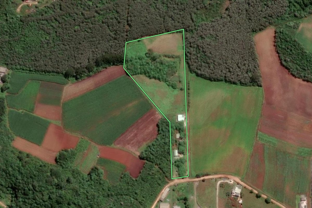 Imagem de satélite do imóvel rural em Almirante Tamandaré (PR), com o contorno declarado no CAR desenhado por cima.