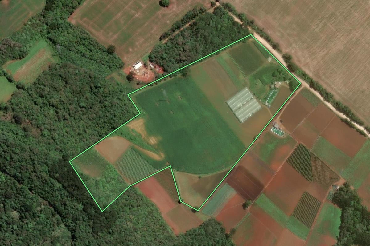 Imagem de satélite do imóvel rural em Almirante Tamandaré (PR), com o contorno declarado no CAR desenhado por cima.